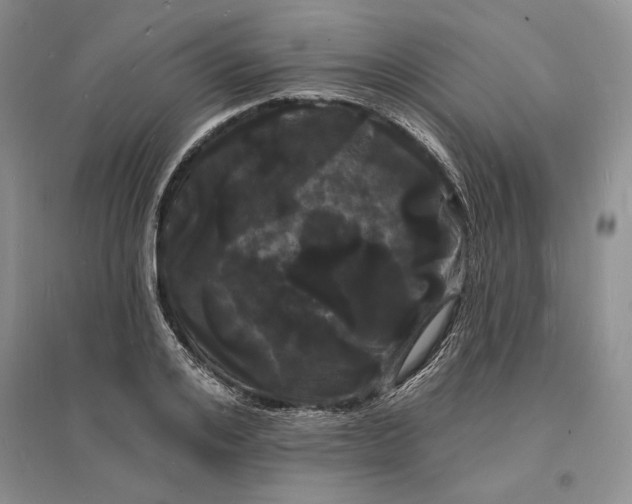 X0000096390984200802071533
