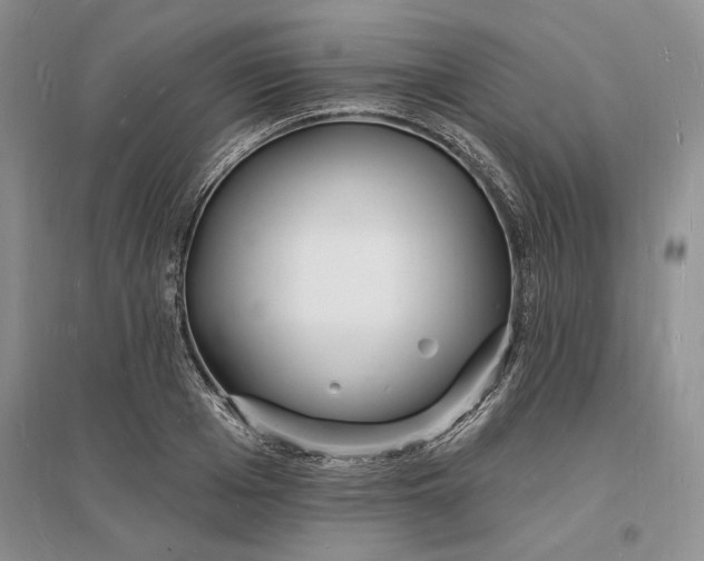 X0000096390985200802071533