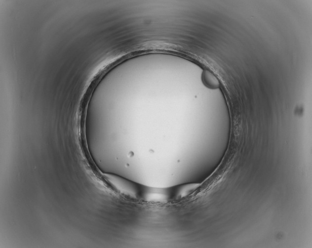 X0000096390987200802071533