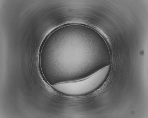 X0000096390988200802071533