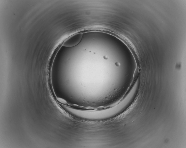 X0000096390989200802071533