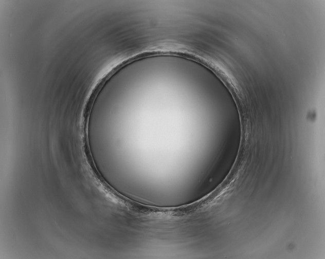 X0000096390990200802071533