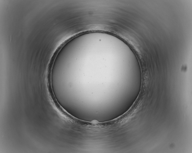 X0000096390991200802071533