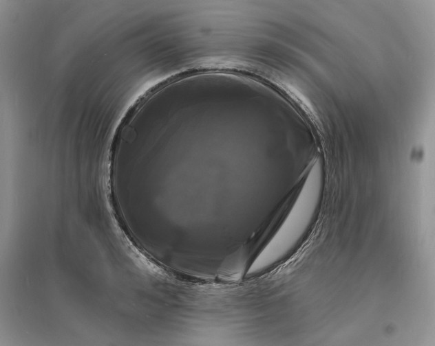 X0000096390992200802071533