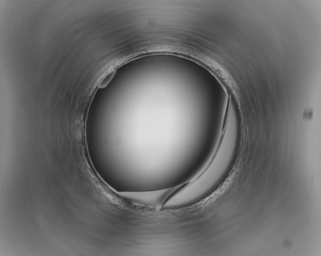 X0000096390993200802071533