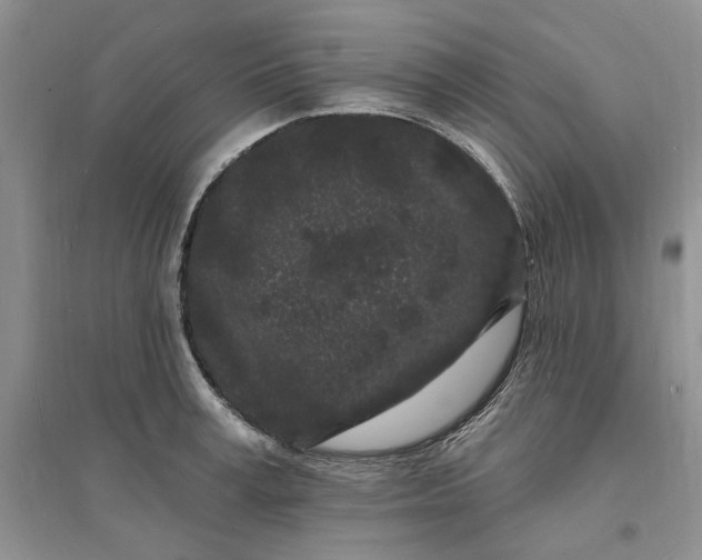 X0000096390995200802071533