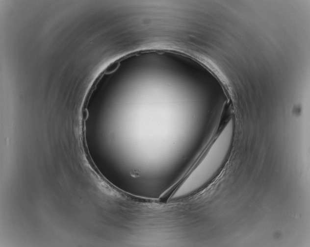 X0000096390996200802071533