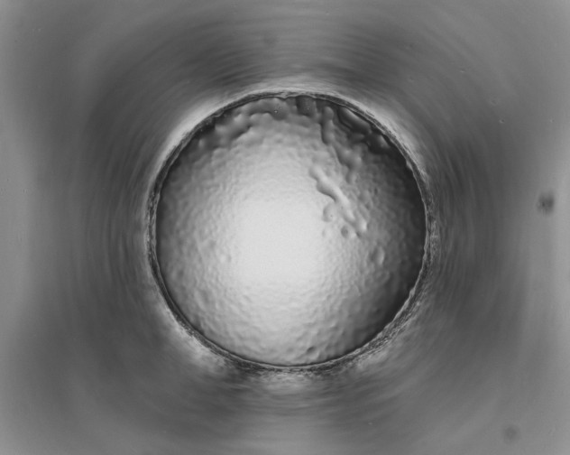 X0000096390998200802071532