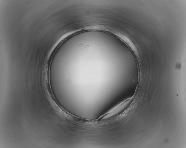 X0000096391000200802071532