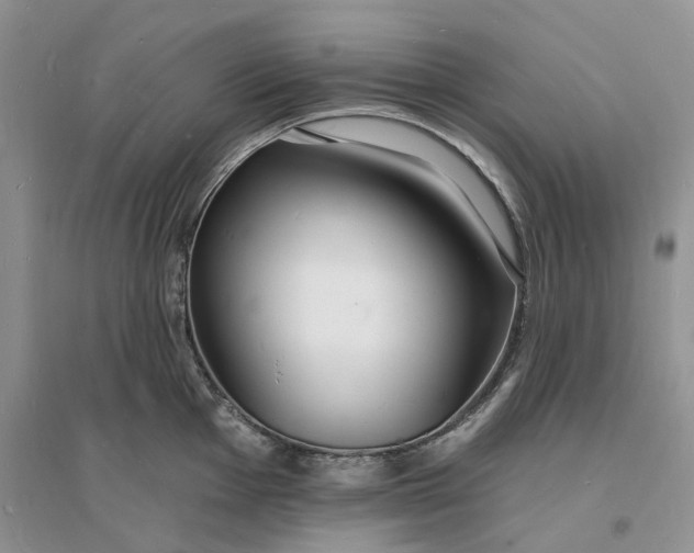 X0000096391001200802071532