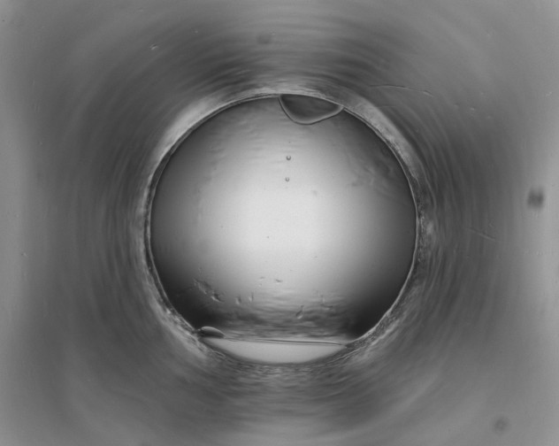 X0000096391002200802071532