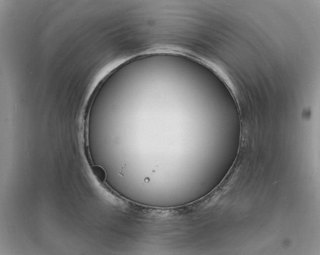 X0000096391003200802071532