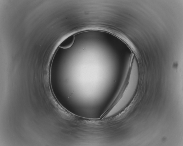 X0000096391004200802071532