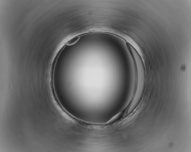 X0000096391005200802071532