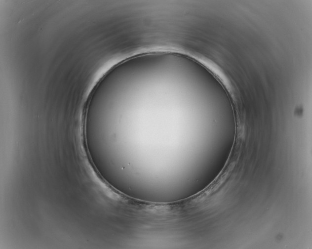 X0000096391006200802071532