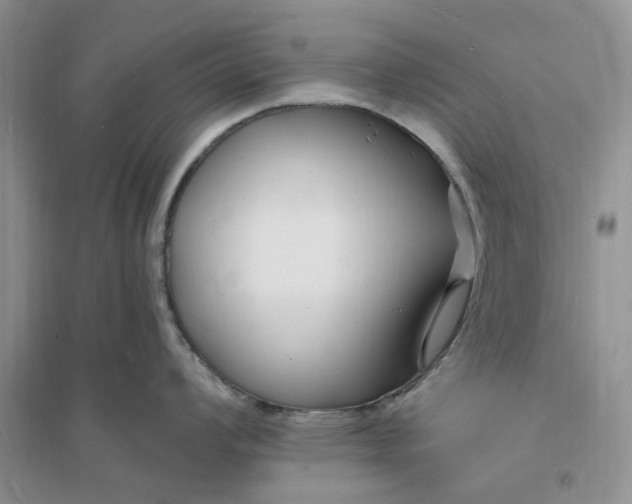 X0000096391008200802071532