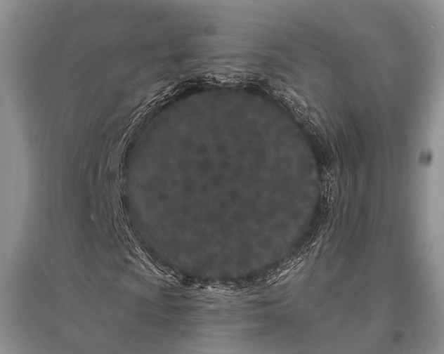 X0000096391009200802071532