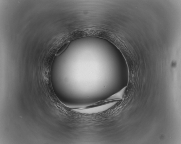 X0000096391010200802071532