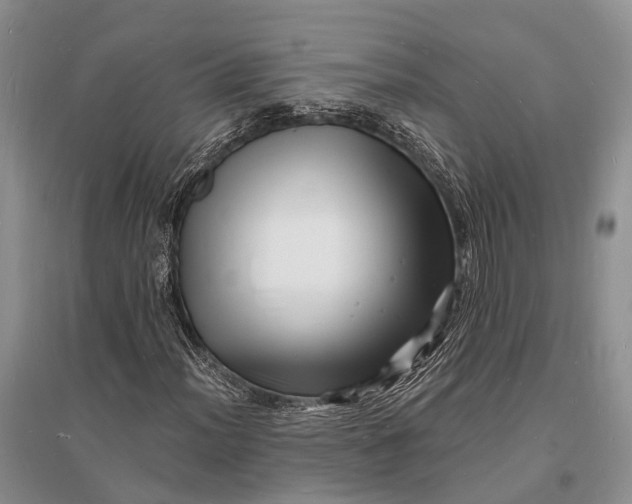 X0000096391012200802071532