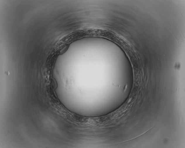 X0000096391013200802071532