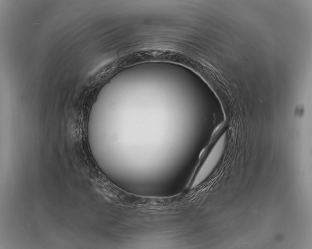 X0000096391014200802071532