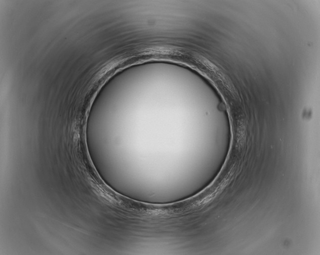 X0000096391017200802071532