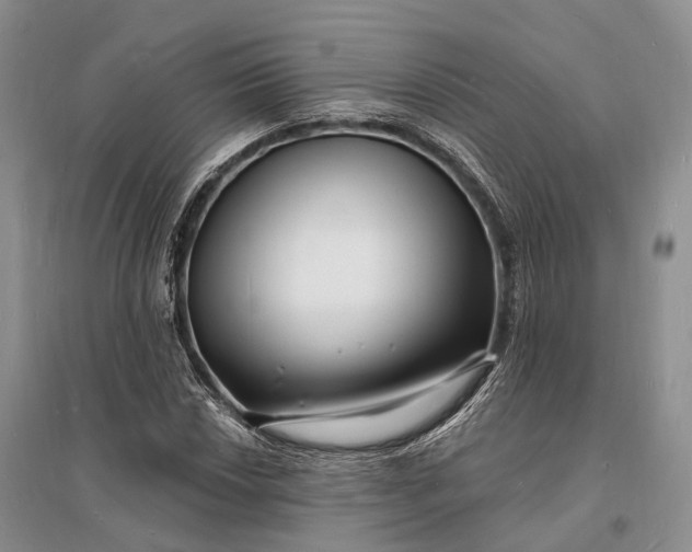 X0000096391018200802071532