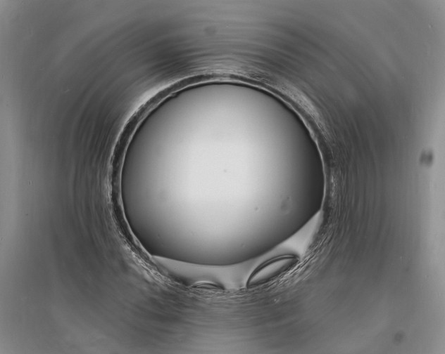 X0000096391020200802071532