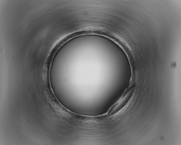 X0000096391021200802071532