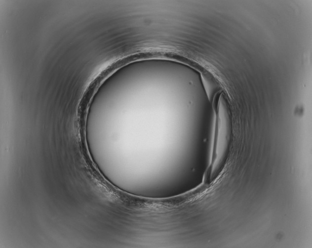 X0000096391022200802071532