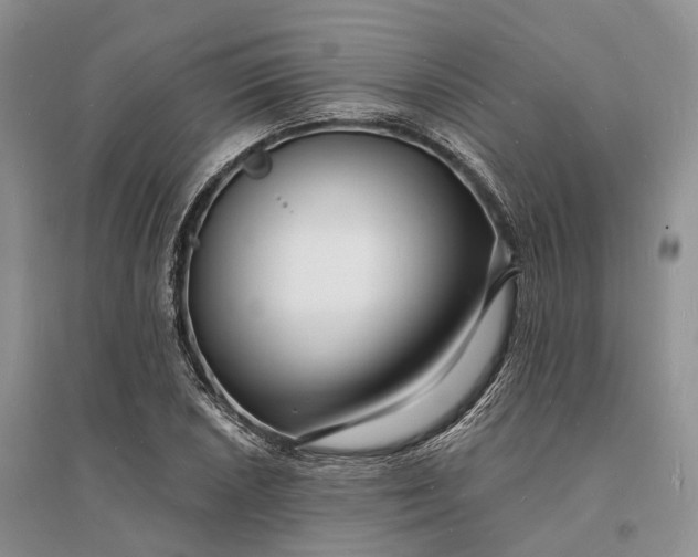 X0000096391026200802071532