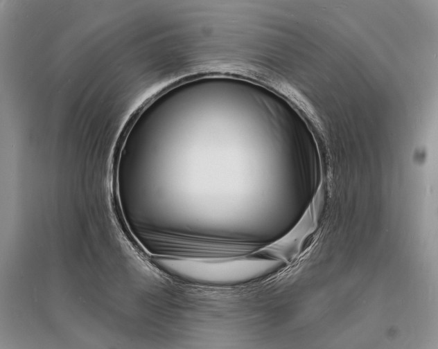 X0000096391028200802071532