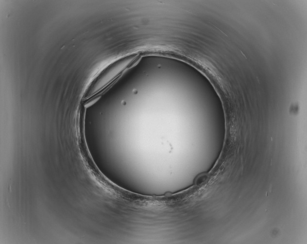 X0000096391030200802071532