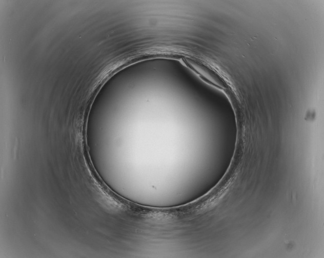 X0000096391033200802071532