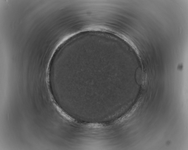 X0000096391037200802071532
