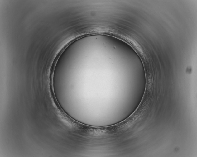 X0000096391039200802071532