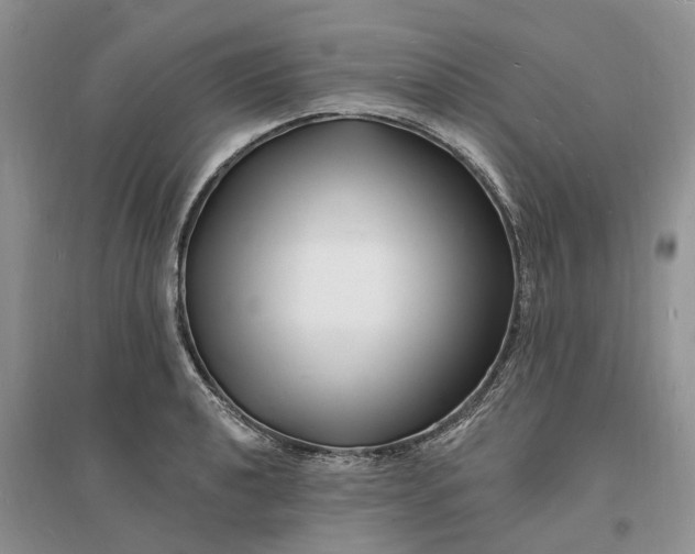 X0000096391040200802071532