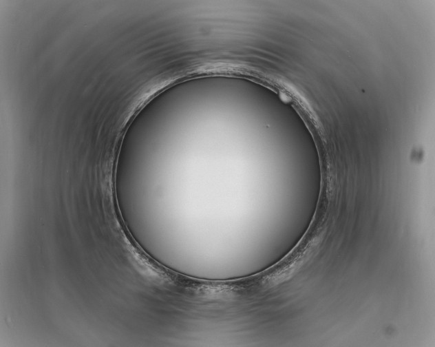 X0000096391041200802071532