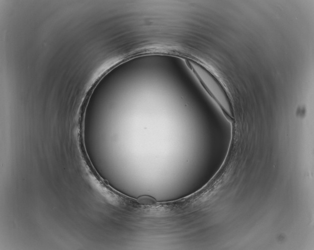 X0000096391042200802071532