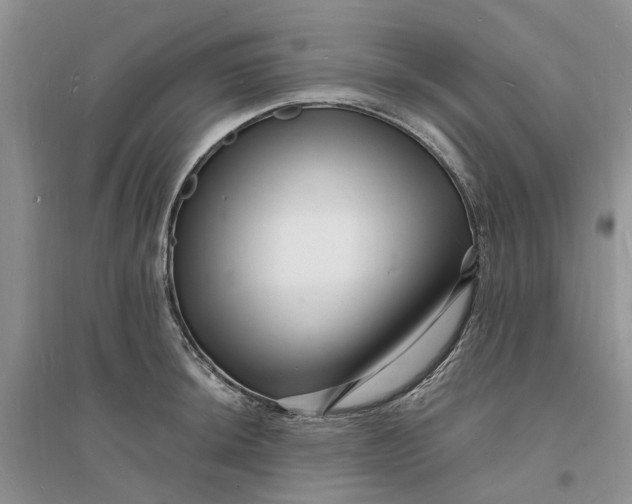 X0000096391044200802071532