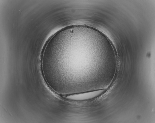 X0000096391045200802071532