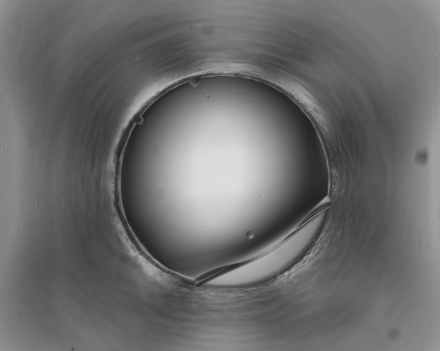 X0000096391046200802071532