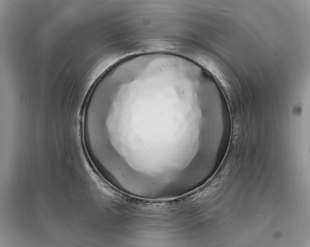 X0000096391047200802071532