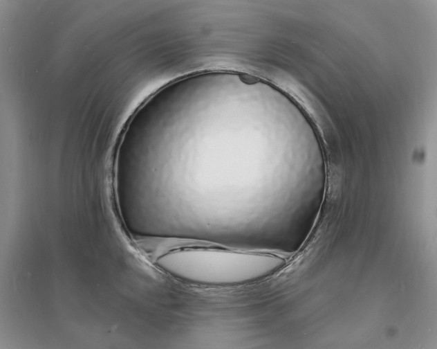 X0000096391048200802071532