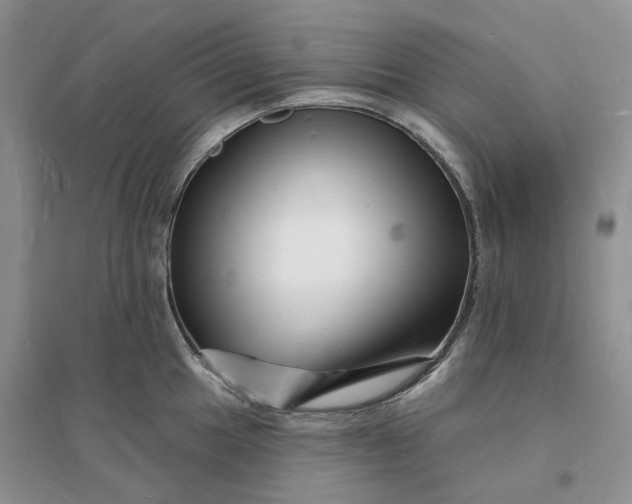 X0000096391049200802071532