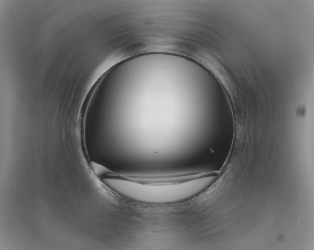 X0000096391050200802071532