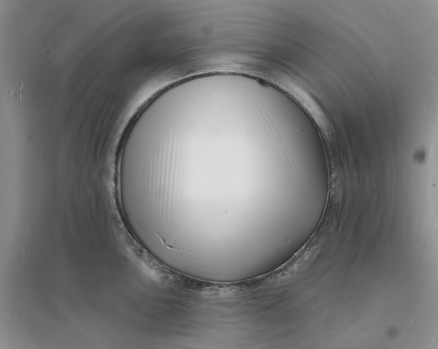 X0000096391051200802071532