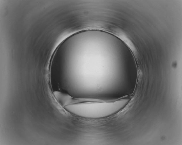 X0000096391052200802071532