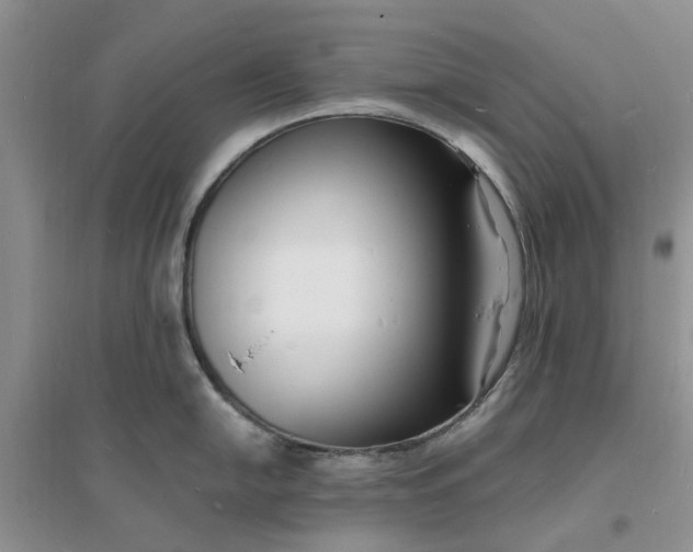 X0000096391054200802071532