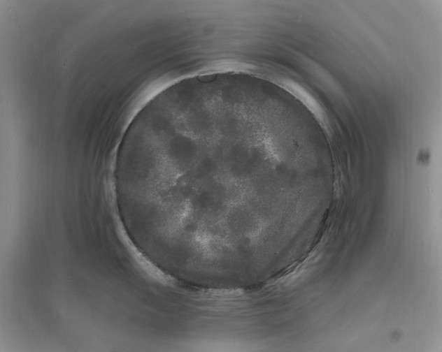 X0000096391055200802071532